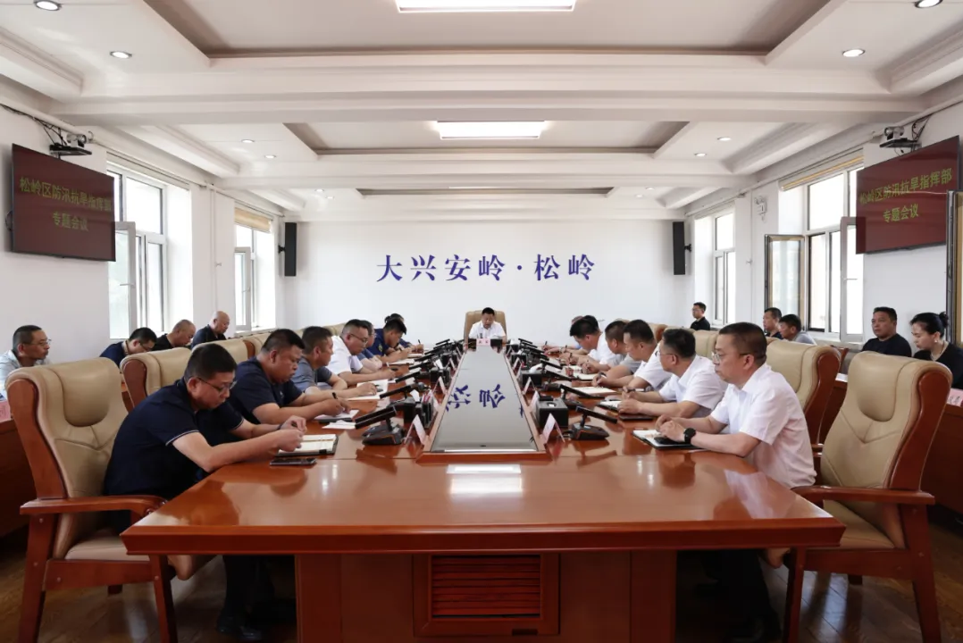 /songling/c100260/202506/314525/images/734ba8152cb84fa688d1c70ad95831c4.png
